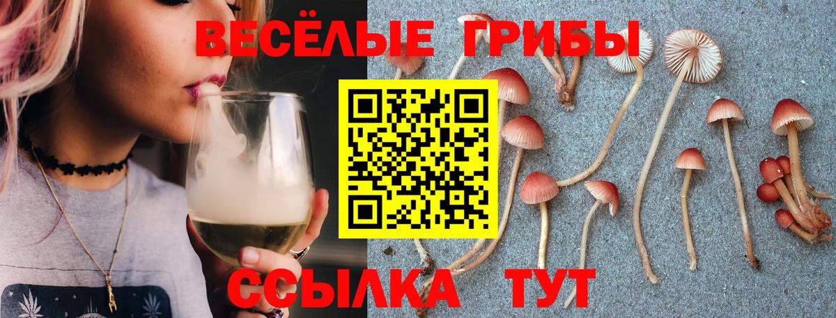 Псилоцибиновые грибы Cubensis  Вход с VPN  Мариинск 